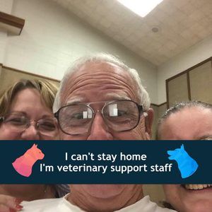 Meet your Posher, Paige